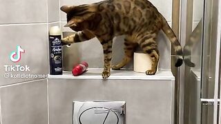 general cleaning from Leo