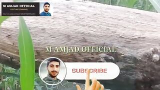 Entertainment vlog moral lesson from my video