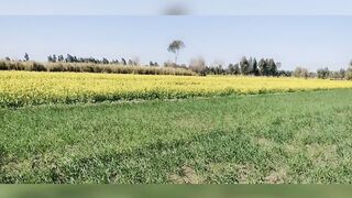 agriculture related