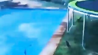 Funny videos
