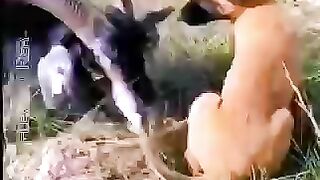 Upload video