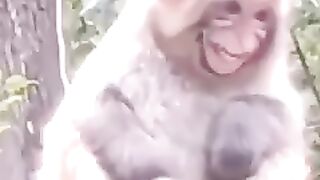 Full funny ????
