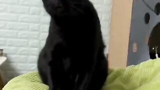 Nice video