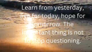 Albert Einstein Quotes
