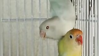 Talking  ????