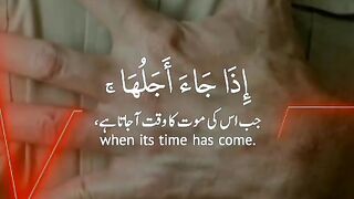 تلاوت قرآن مجید