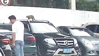 the funny video and comedy clips