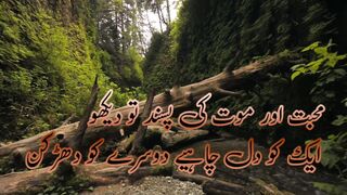 Nature Nature poetry by Waqashero please like and follow
