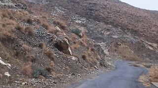 naic video