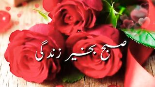 Subh bakhait