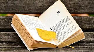 TOP TEN AMERICAN NOVELS