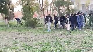 Fight pdm and pti