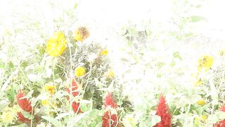 Flower garden