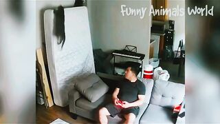 Real life , funny video