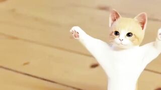 funny cat short video 2023