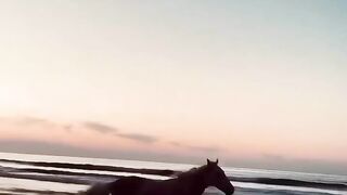 Hourse speed