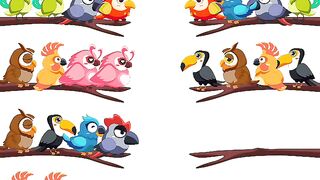 Bird sort color level 38