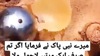 میرے نبی نے فرمایا اگر تم ایک مرتبہ لاحول ولا قوۃ الا باللہ پڑھ لو تو