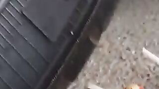 Car vs soft Things