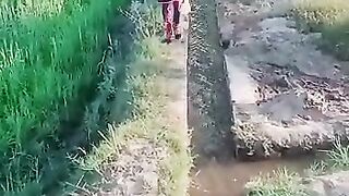 Entertainment video