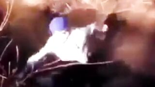 funy video