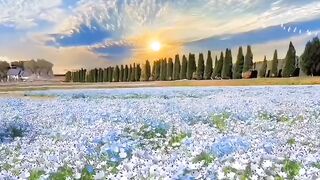 Beautiful view