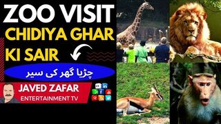 Zoo visit #Chidiya Ghar ki Sair #چڑیا گھر کی سیر #Kinder Playtime #Diana and Roma EN #javedzafaretv_