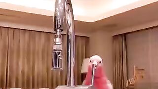Subhan allah Garret video