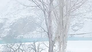 Snow Falls