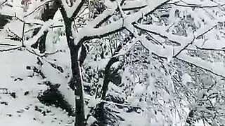 Pakistan snow falling