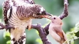 Help the needy.ضرورت مند اور کمزور کی مدد