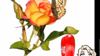 Good Morning my dear friend ????????
