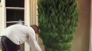 Respect ammazing videos