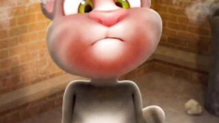 Tom funny cats