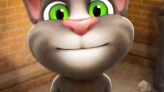 Best cats funny
