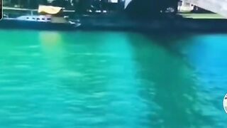 Amazing videos