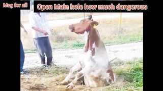 Open main holes are dangerous.
