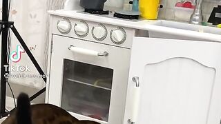 where is our food