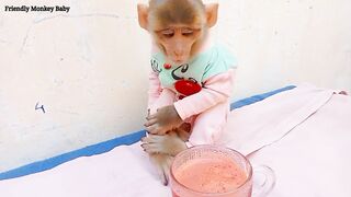 Monkey Friendly Was Addicted To Carrot Juice She Drinking It