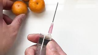 Orange Funny Video Funniest Video Orange