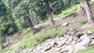 The beautiful Nature