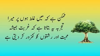 Best Urdu Quotes Collection | Top 10 Success Quotes (Kamyabi Quotes) Amazing Quotes About Success