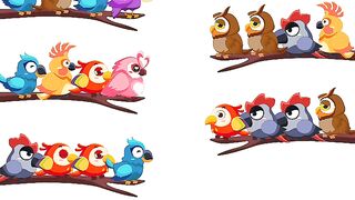 Bird sort color level 39