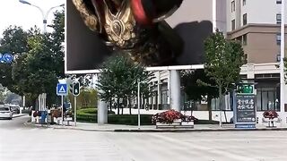 Top amazing video