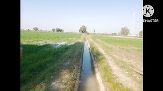 Beautiful look and beautiful village farming