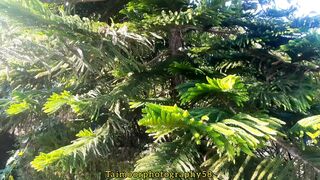 beautiful cenemetic view of nature, beautiful plant