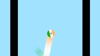 India vs Pakistan race