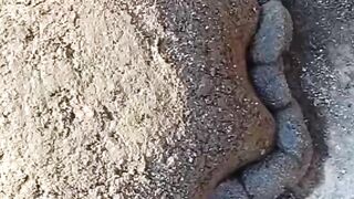 flower cement ports