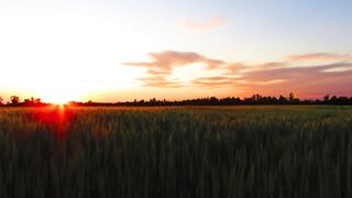 Nature view free Video