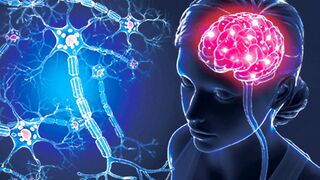 general knowledge|common sense